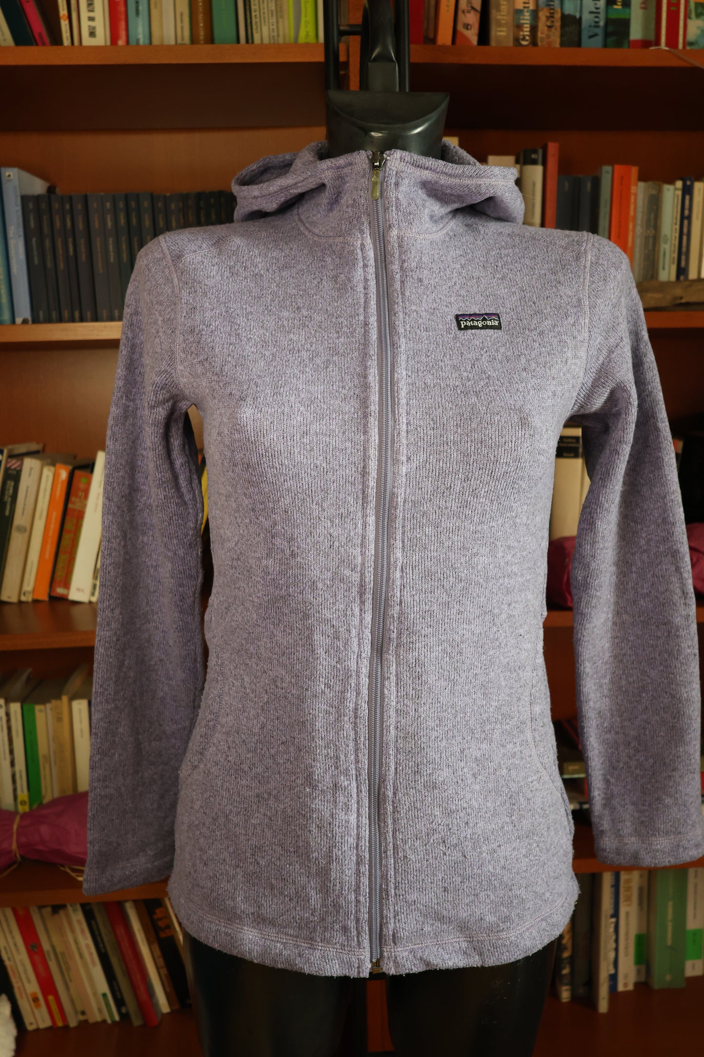 PATAGONIA retro hoodie