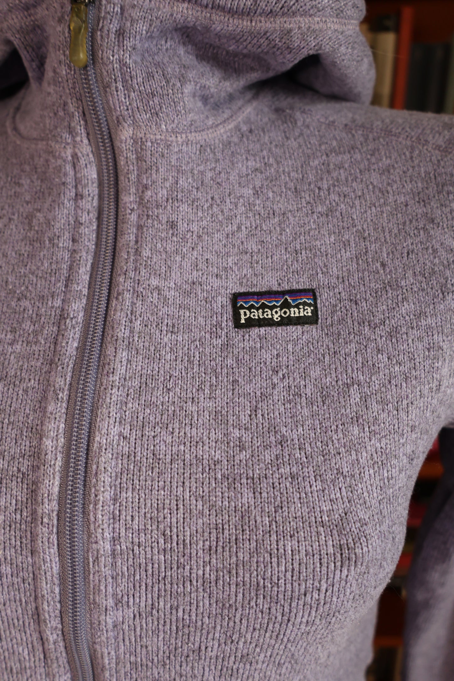 PATAGONIA retro hoodie