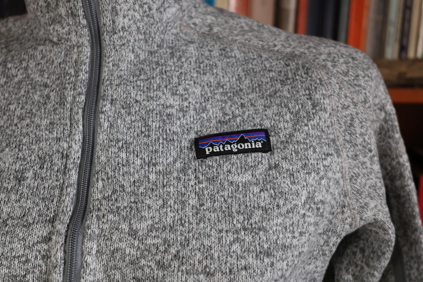 EY for Patagonia fleece jacket