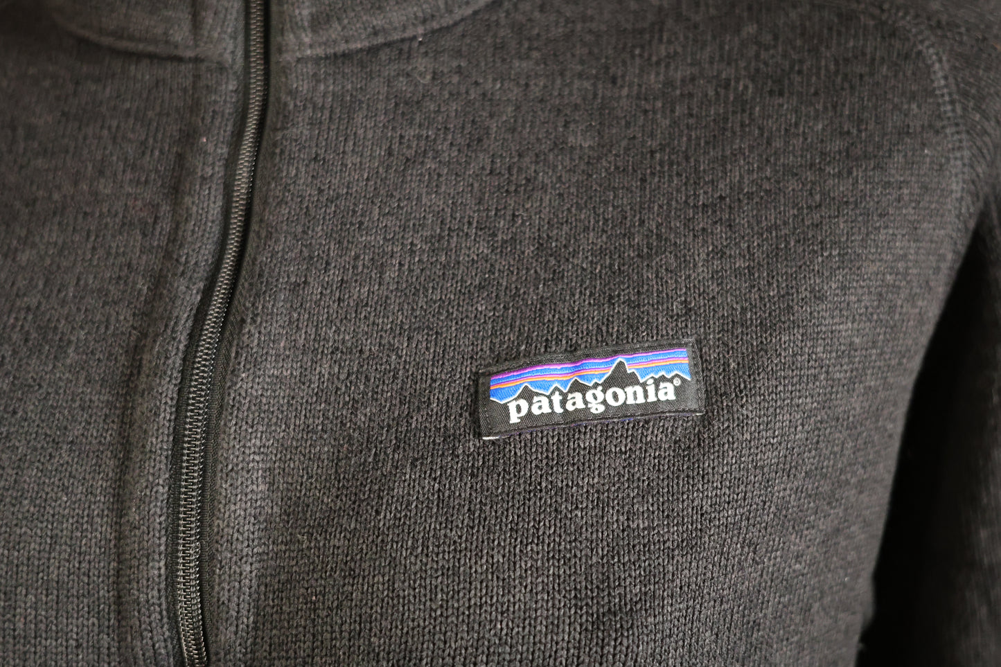 Patagonia x Google fleece jacket